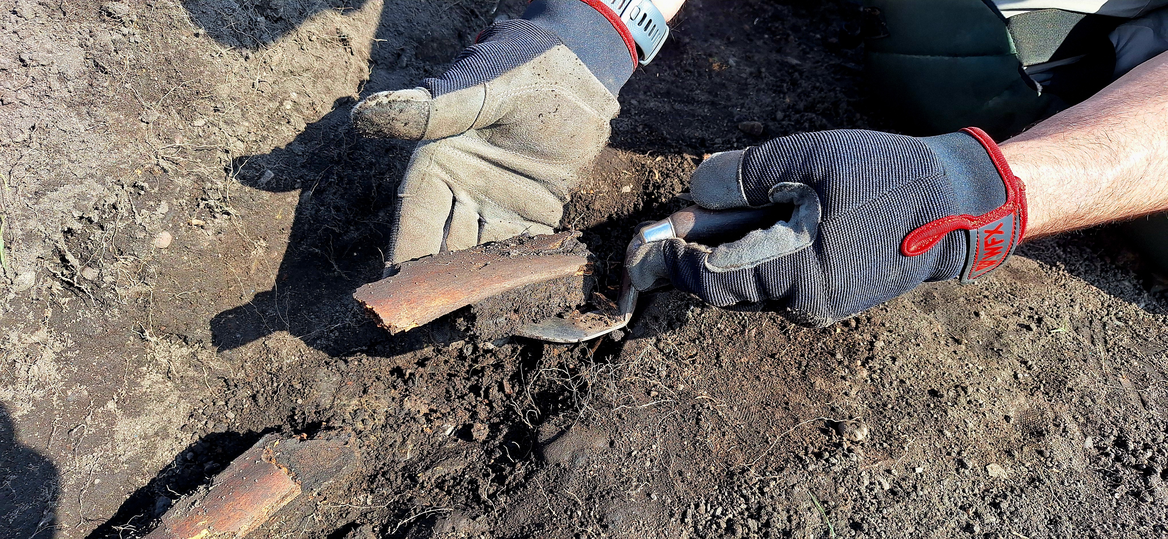 Afternoon excavation