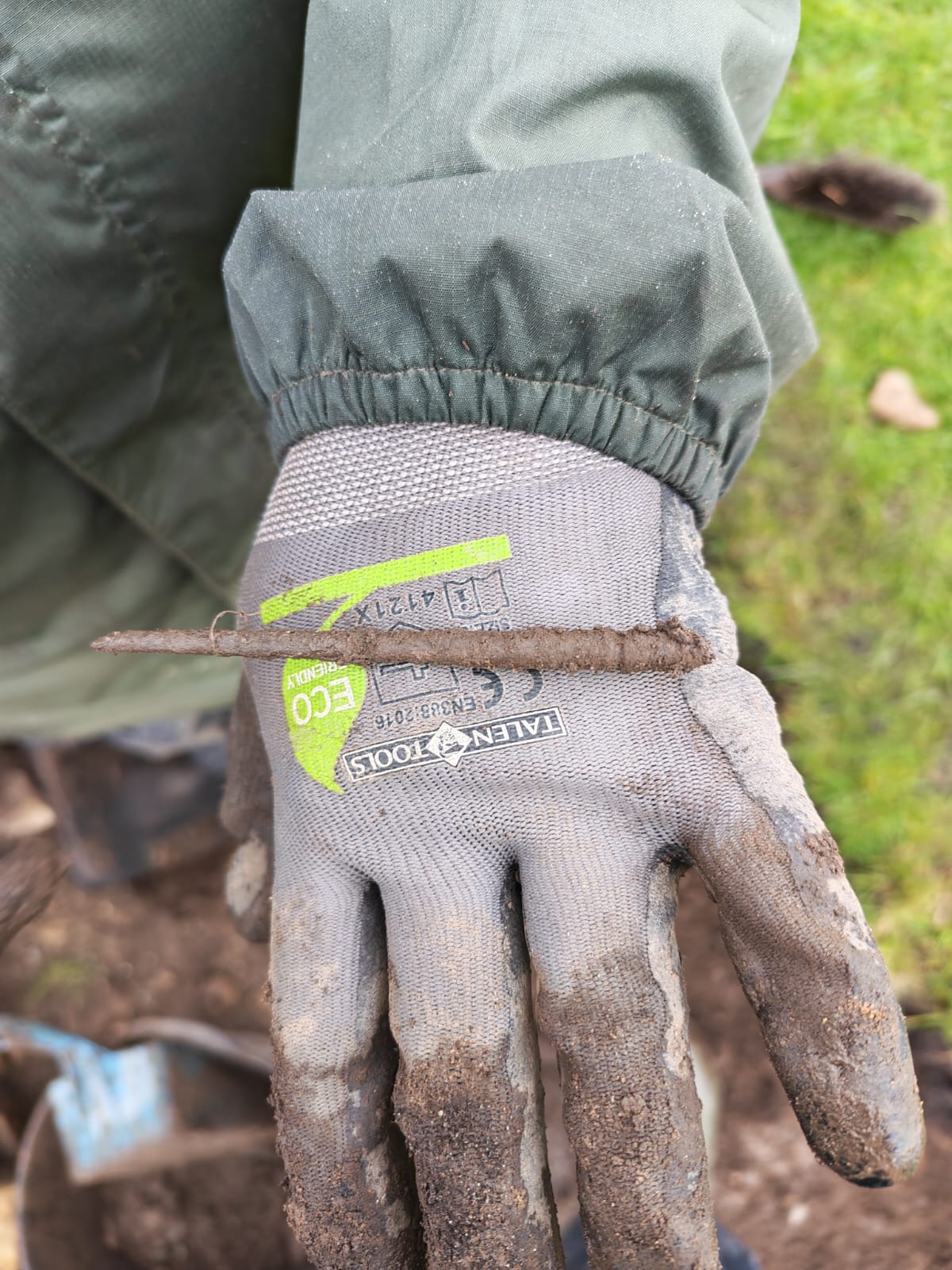 Iron nail find
